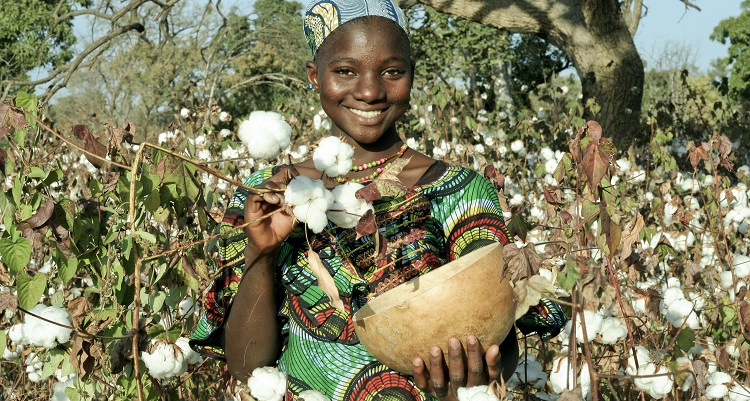Collaboration aims to support African cotton, Materials & Production News